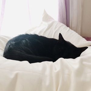 Meet your Posher, Alyssa